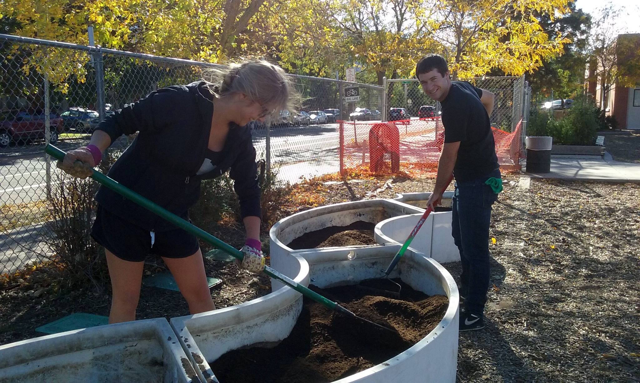 Two people using shovels to dig dirt in planters